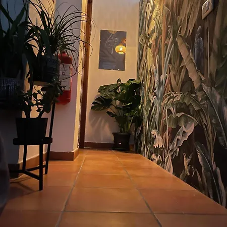Little House Relax * Civitavecchia